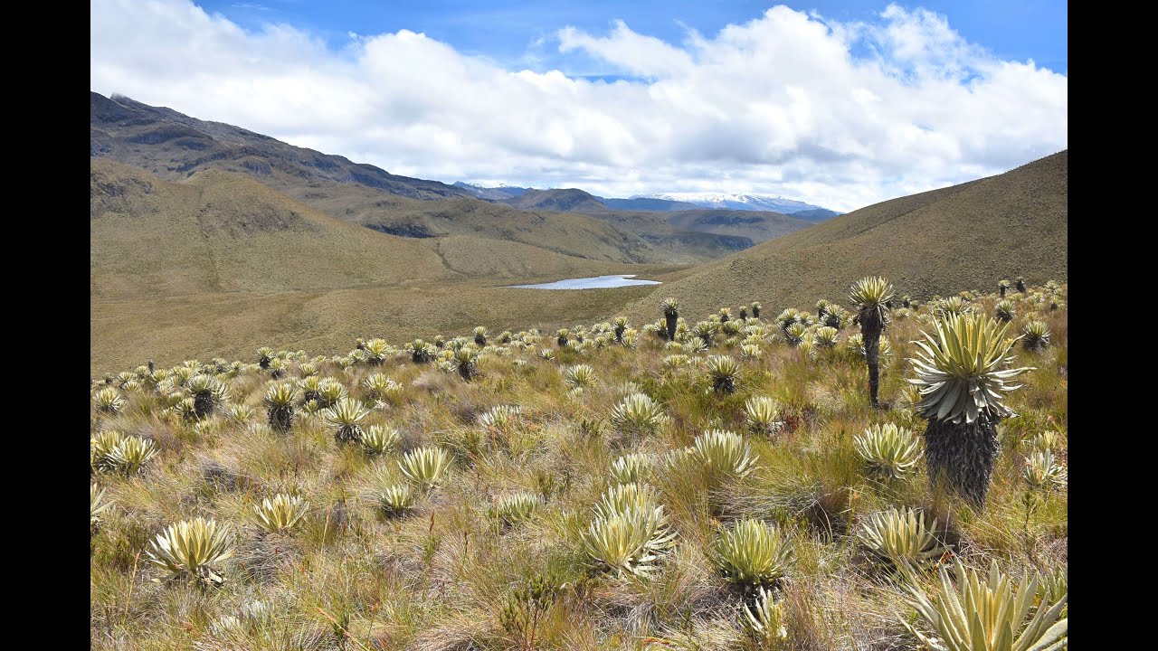 LOS NEVADOS NATIONAL PARK: Hiking in the Colombian Paramo