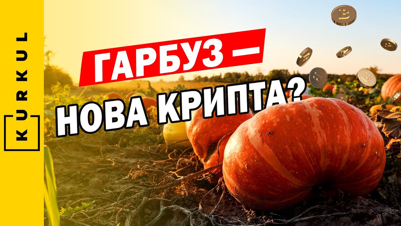 Гарбузи — золото дурнів чи вигідний бізнес? Де купити насіння? / Куркуль