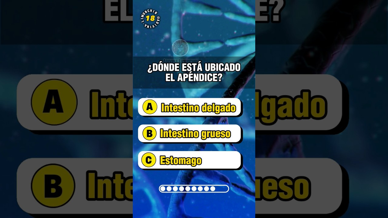 Preguntas de Anatom&iacute;a Humana😼🧠 #quiz #anatomia #medicina #medicine #enfermeria #biology #reels #test