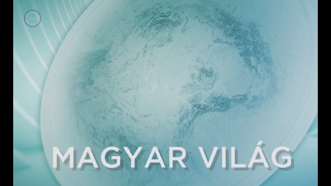 Nagy Zita ügyvezető  a MTVA Magyar világ című műsorának nyilatkozott