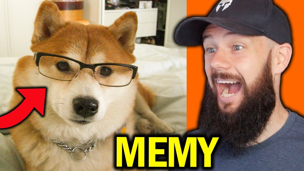 🔥 NAJLEPSZE MEMY Z PJESKU HEHESZKU 2
