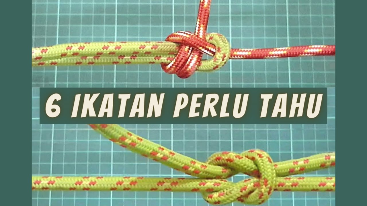 6 IKATAN PERLU ANDA TAHU