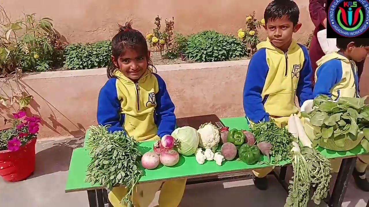 Vegetable Activity at kindergarten Public School #kindergarten #school 
