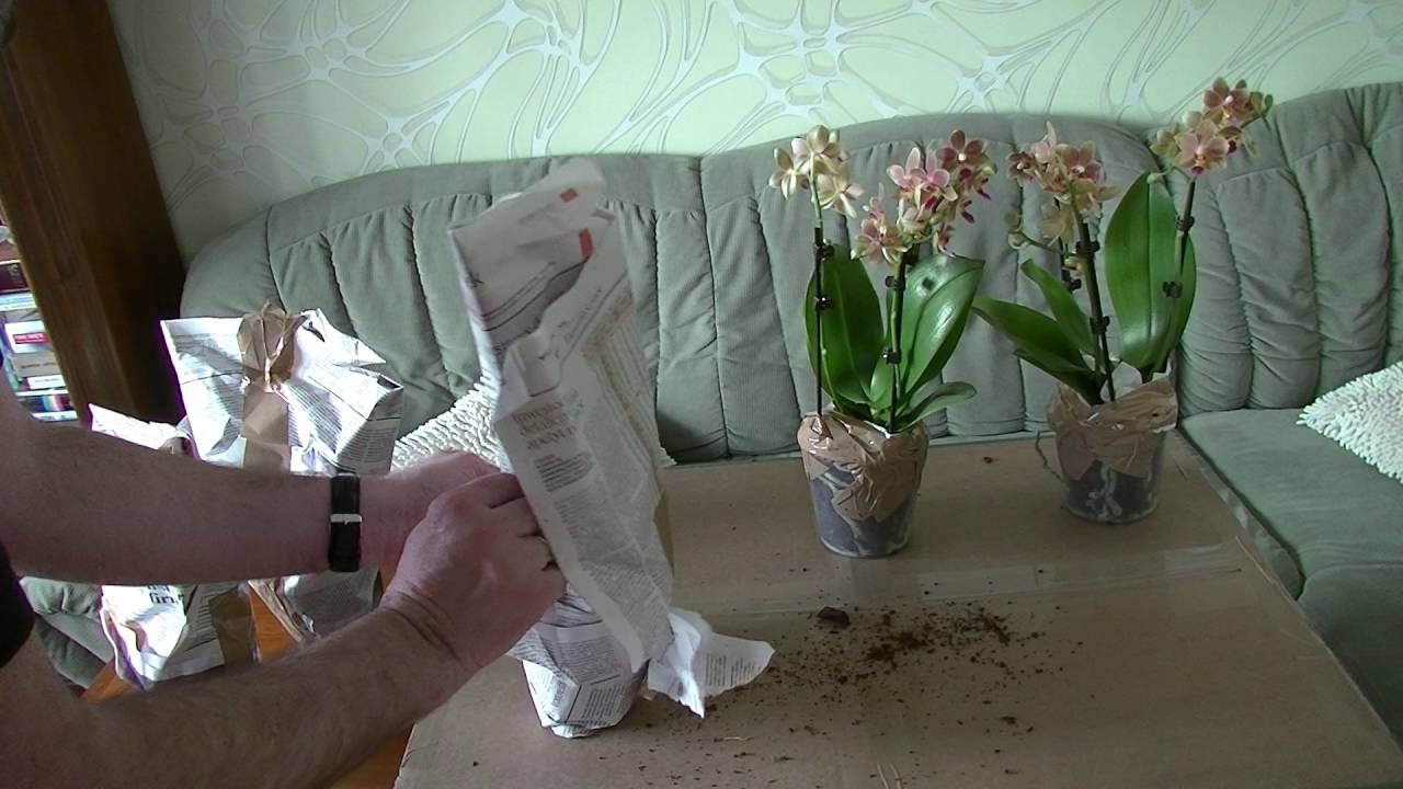 2016-05-17 Kwiaty unboxing
