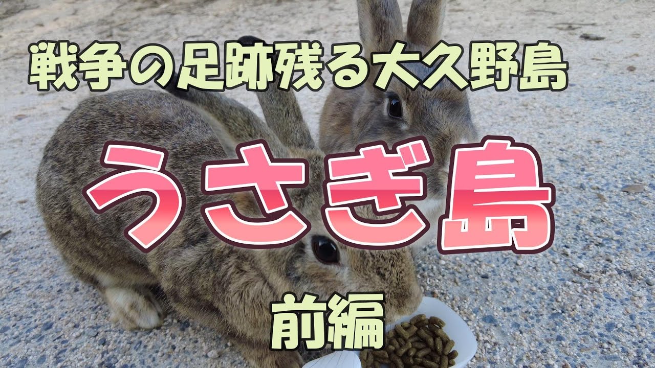 【うさぎ島】大久野島へ行こうと思ってる人！必見！うさぎ島前編
