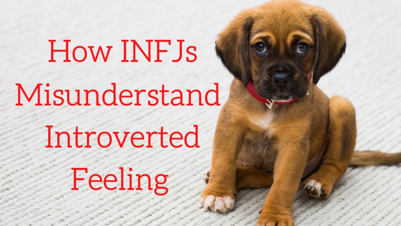 How INFJs Misunderstand Fi (Introverted Feeling)