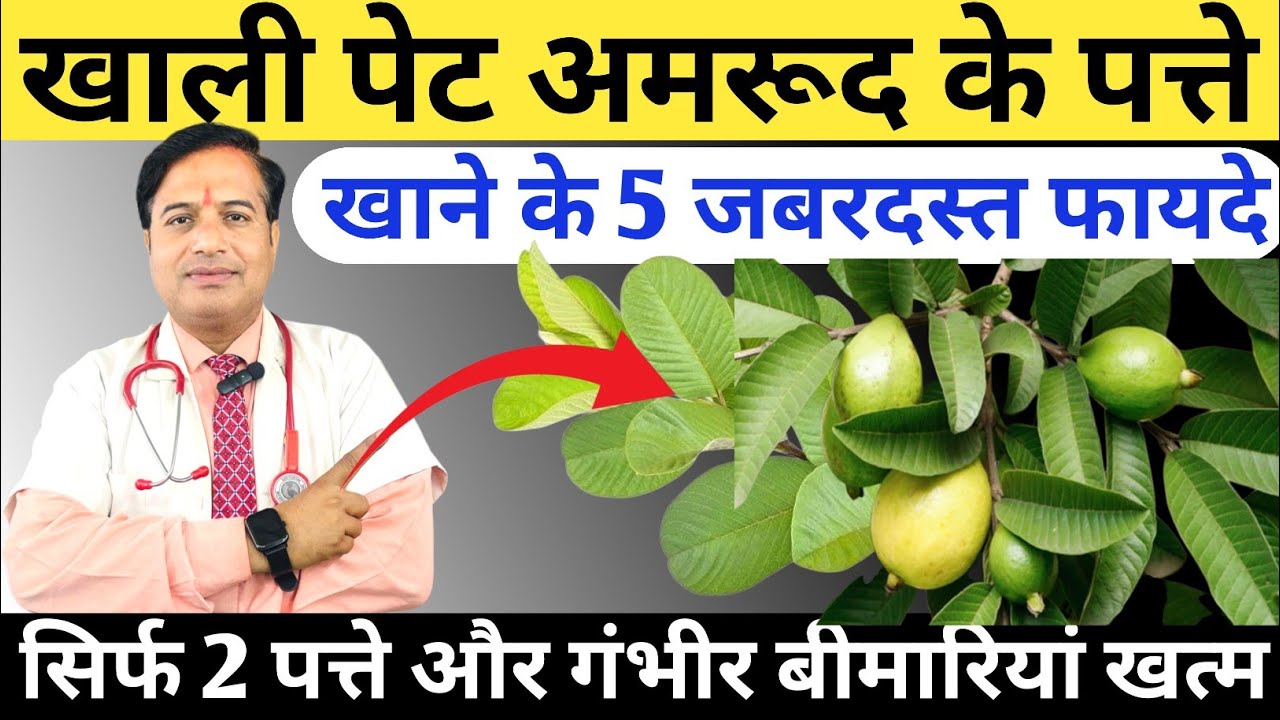 खाली पेट अमरूद के पत्ते खाने के 5 जबरदस्त फायदे || 5 Health Benefits Of Guava Leaves #guavaleaves 