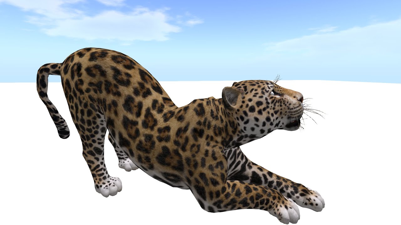 Bento Buddy Jaguar