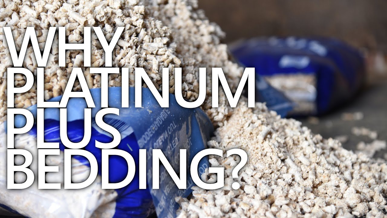 Why Platinum Plus Pellets? | Horse Bedding | Platinum Plus Pellets