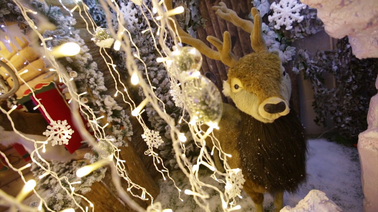 Santa 2016 | Hayes Garden World