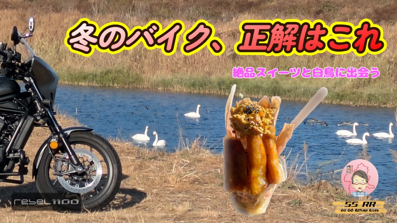 【関東ツーリング】冬こそ行くべき！安住神社と絶品焼き芋を巡る旅【Rebel1100】 #モトブログ  #Rebel1100T  #リターンライダー
