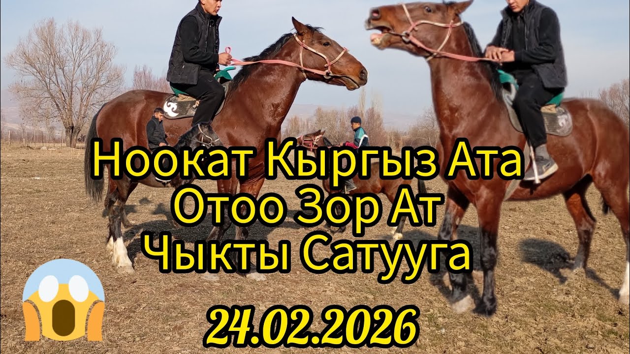 Акбулак тан Отоо Зор Ат Чыкты Сатууга уйуру Улагы 💯