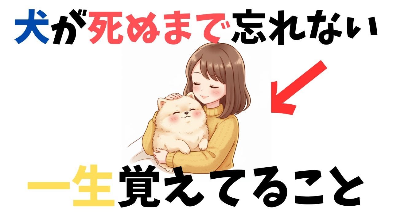 わんこが死ぬまで忘れないこと5選【犬の雑学】