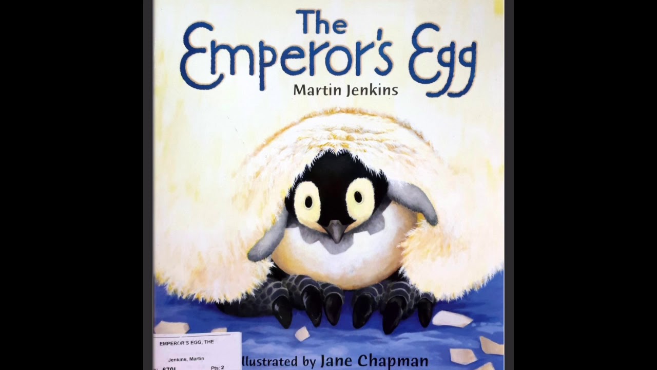 An Emperor’s Egg by Martin Jenkins - Story time 1 with Mrs Peacock