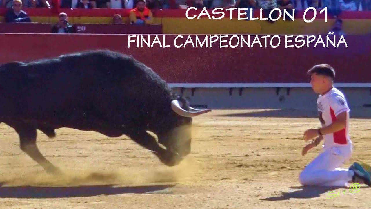 ✅2023 CASTELLÓN 01 FINAL Campeonato ESPAÑA de Recortes
