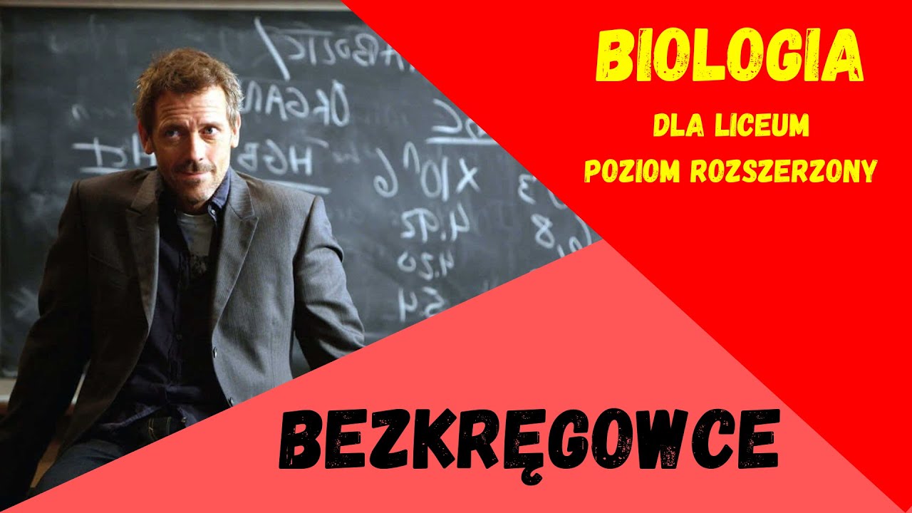 Bezkręgowce. Biologia rozszerzona do matury.