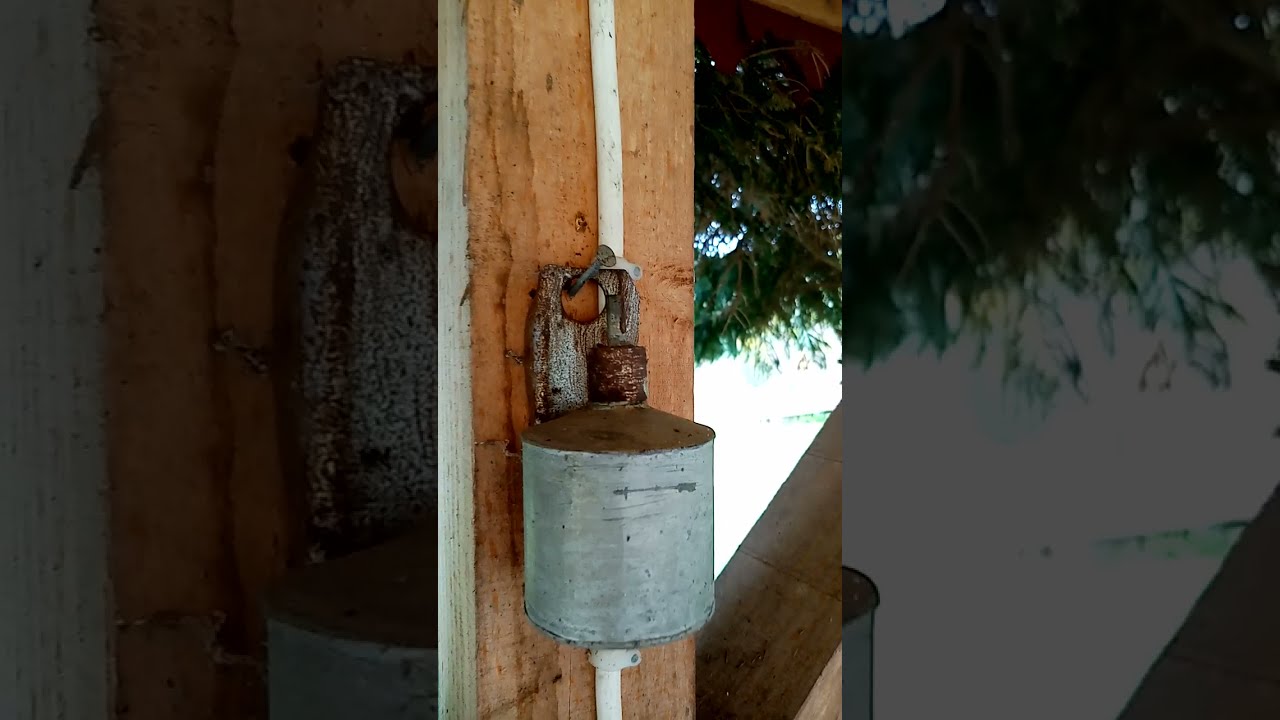 Vakfıkebir Tarlacık köyü.. köyümüzde sonbahar manzaraları