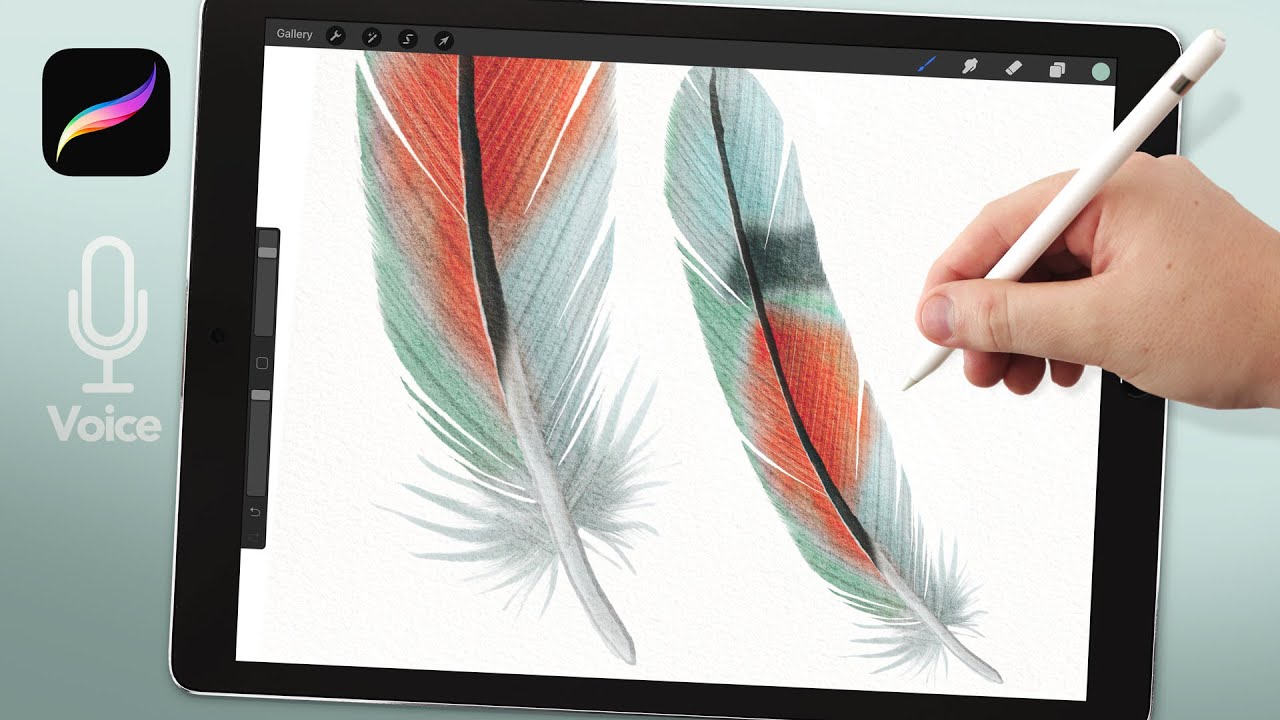 Watercolor Feathers in Procreate, Advanced Feather Painting