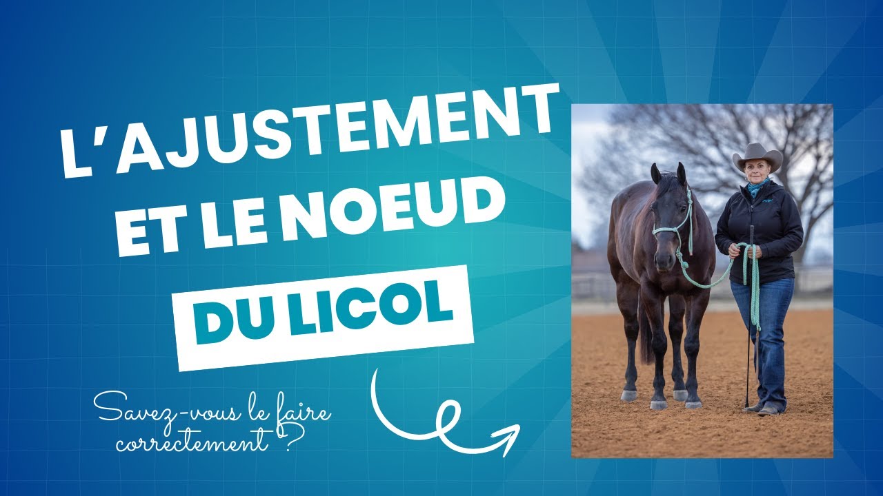 La Position PARFAITE du Licol Pour le Confort de Votre Cheval !