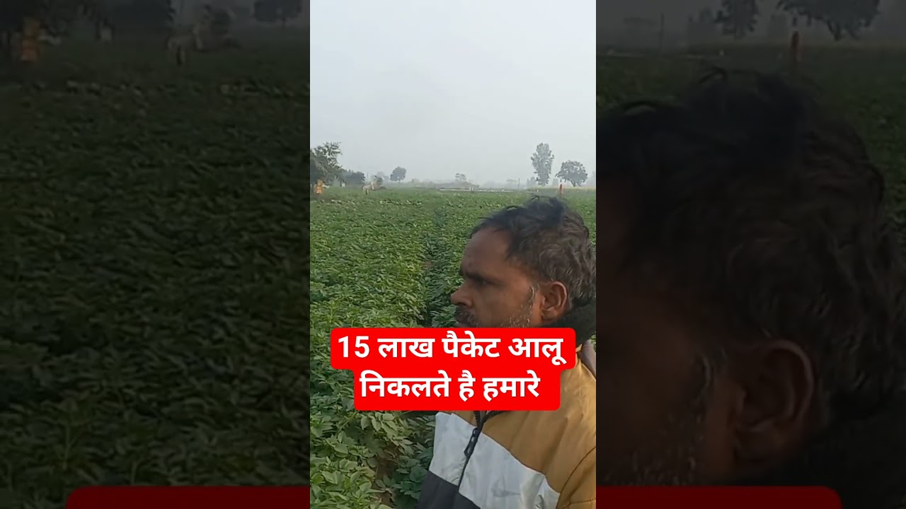 आलू का क्षेत्रफल 10% बढा 2026 