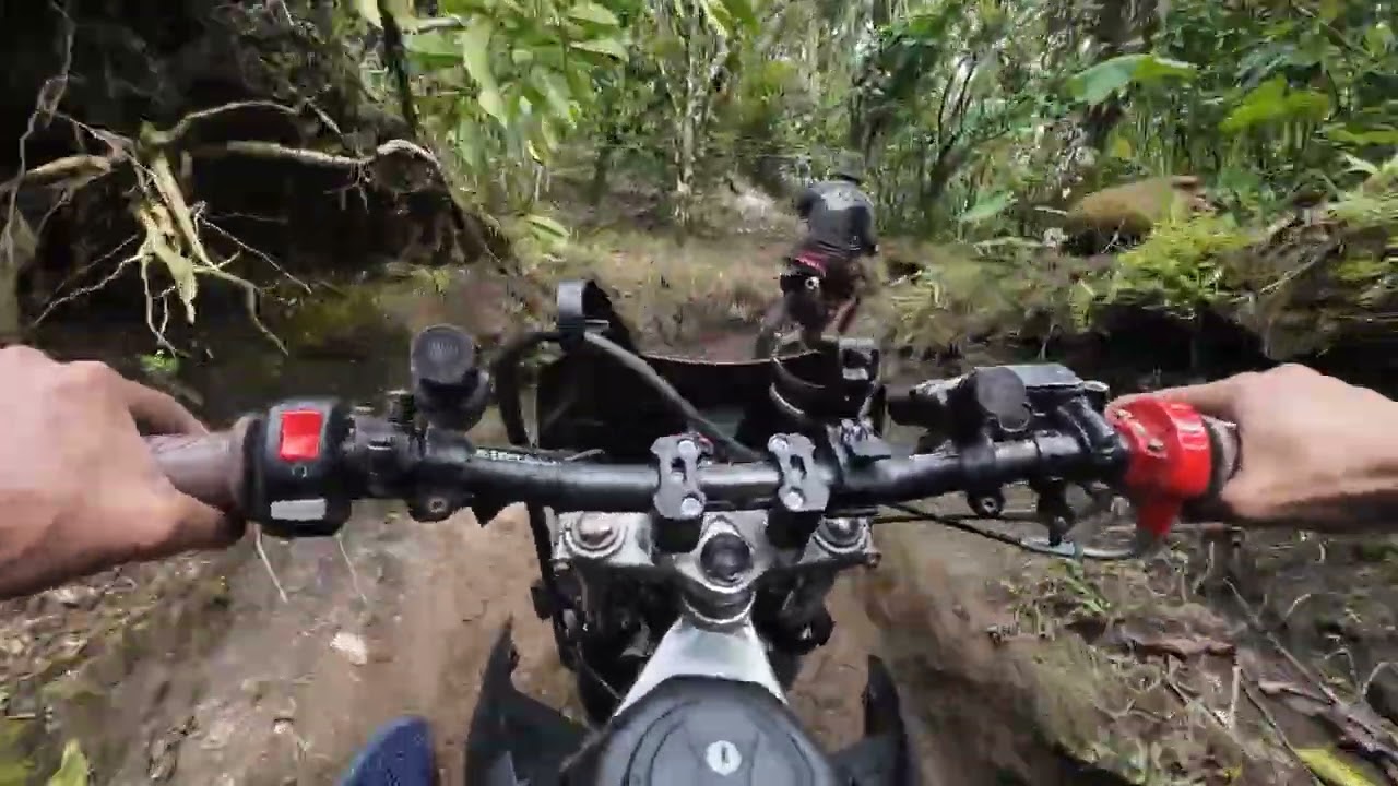 Trail Jalur Pendakian Gunung Raung via Sumberwringin Bondowoso Part 4 | Roziq Petualang