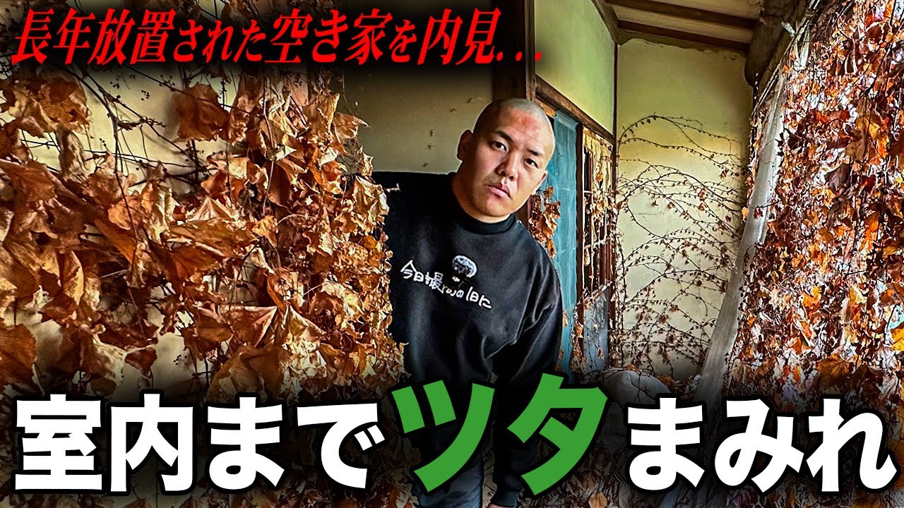 【現実版ジブリ!?】取り壊し寸前の物件を調査したら室内までツタまみれで自然と共生していた。
