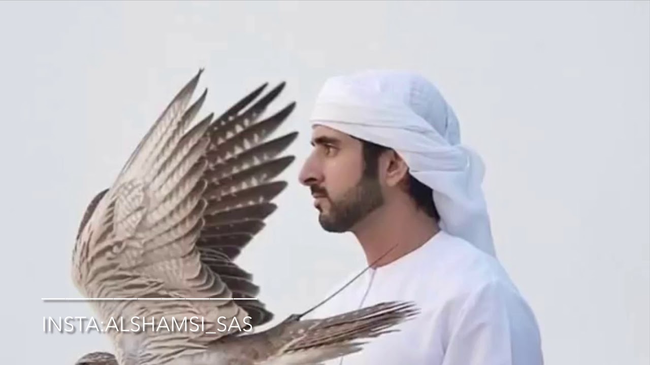 حسين الجسمي راس المال بطئ