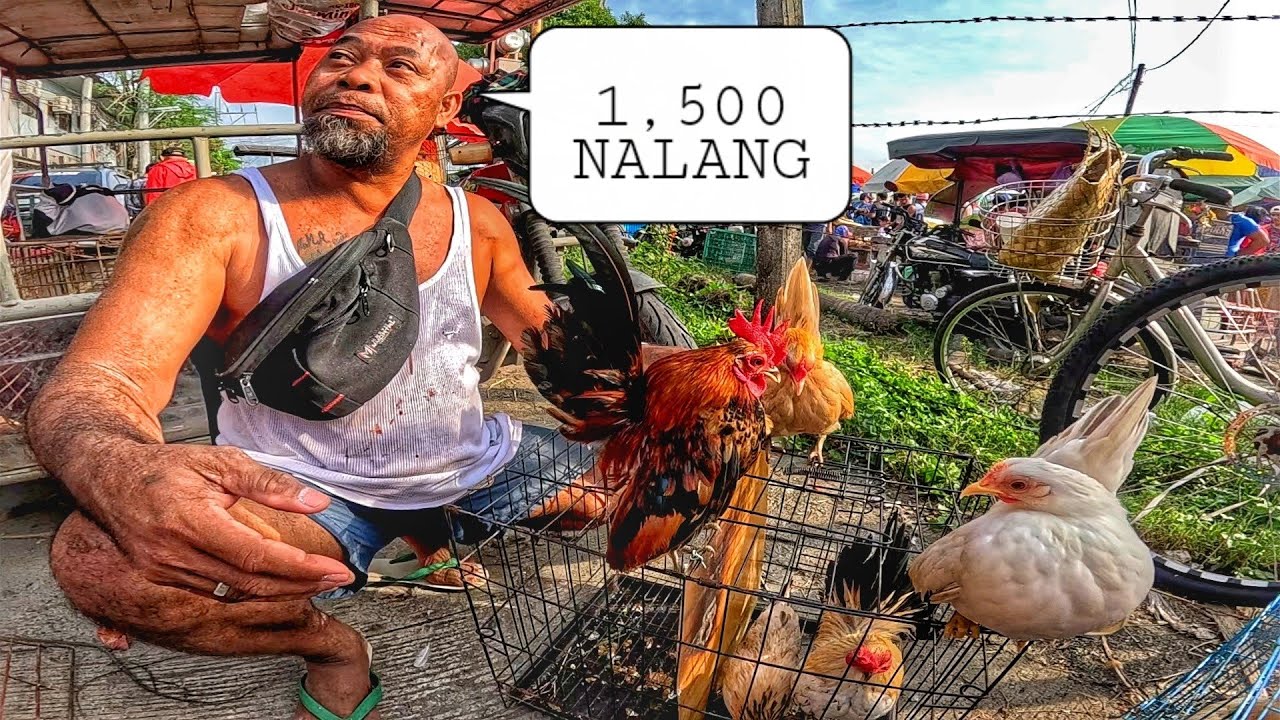 EKSENA SA BOCAUE NOVEMBER 14, 2025 | PET TIANGGE