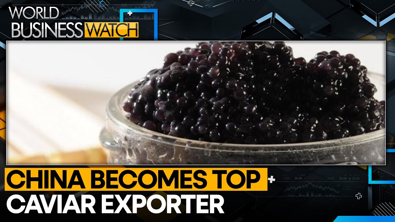 China takes the crown as world's leading caviar exporter | World Business Watch