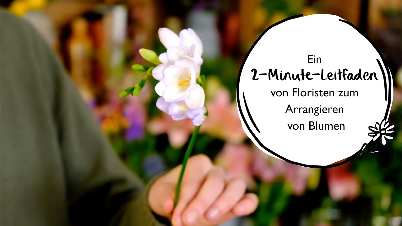 Ein 2-Minute-Leitfaden von Floristen zum Arrangieren von Blumen