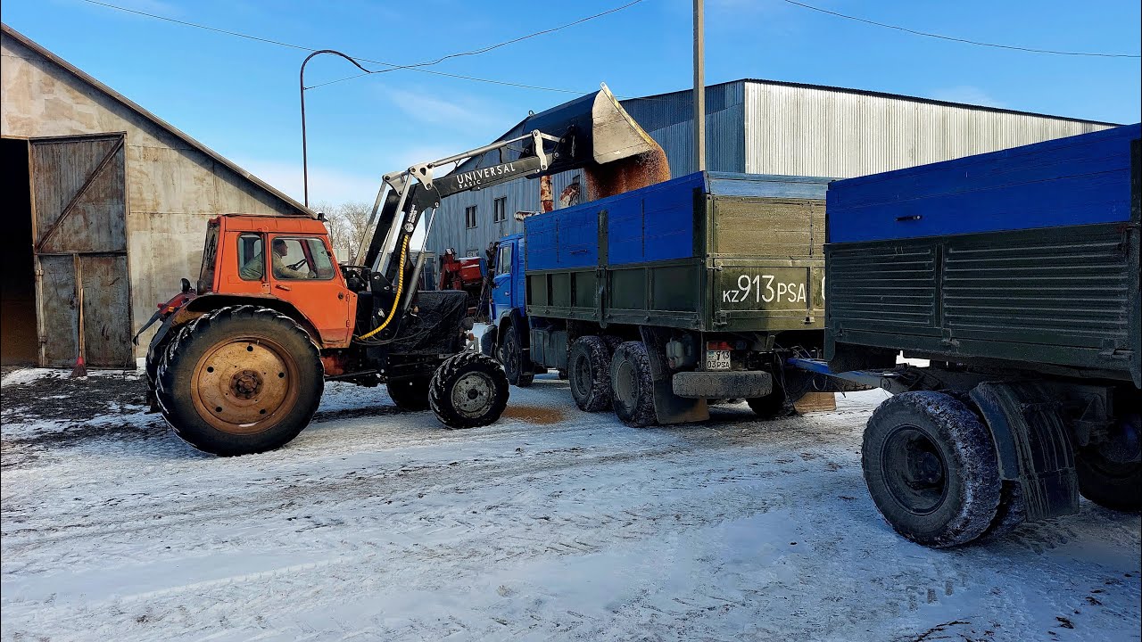 Камаз зерновоз. Дальнобой. После зерна гружусь углём. Вытаскиваю легковушку с кувета!