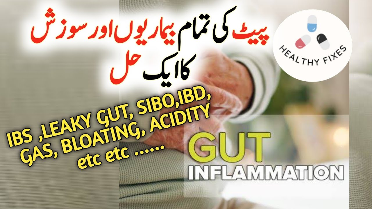 Gut Inflammations IBS, LEAKY GUT, SIBO, HPYLORI ONE Solution | 
