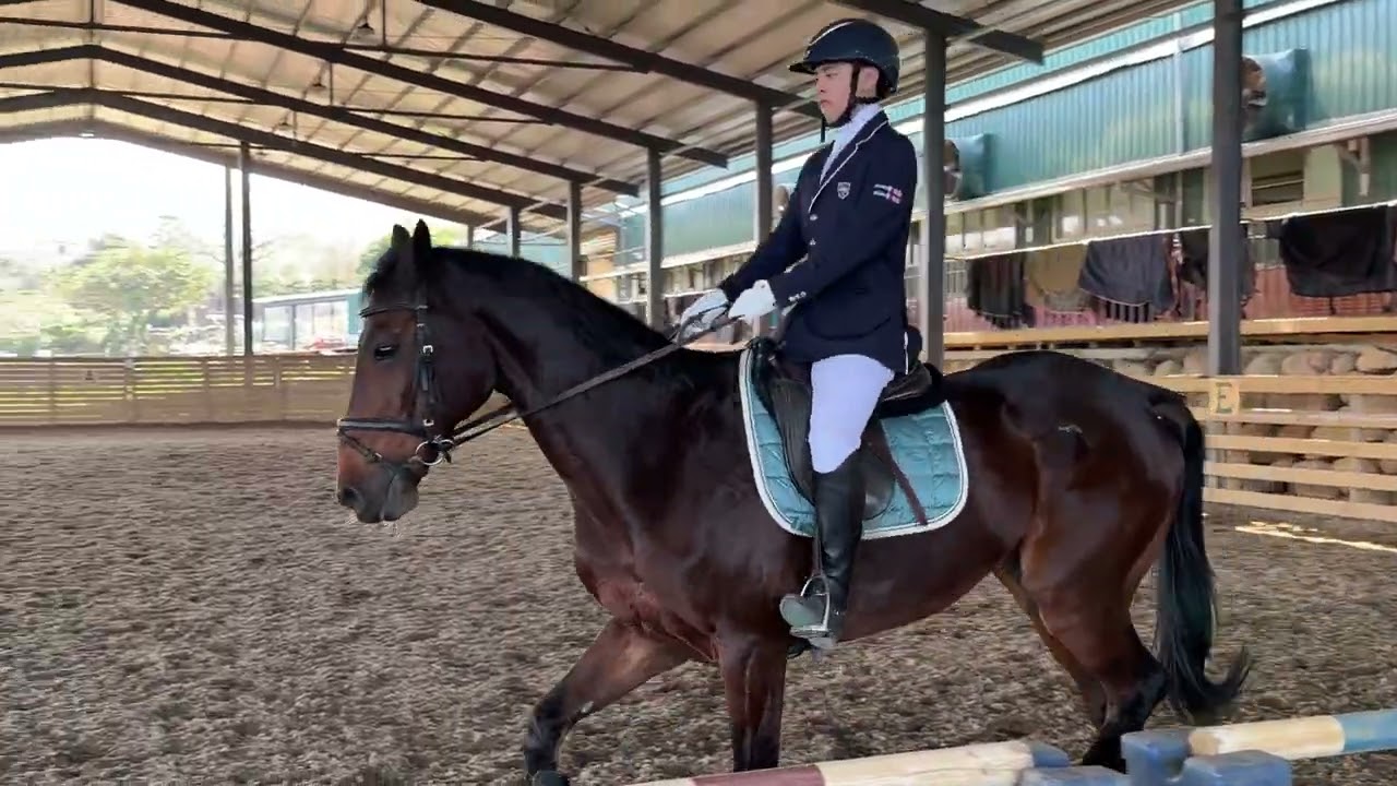 2026 Virtus Para Equestrian Video Competition Round1  Intermediate A  Rui Yan Tai TPE 20260212