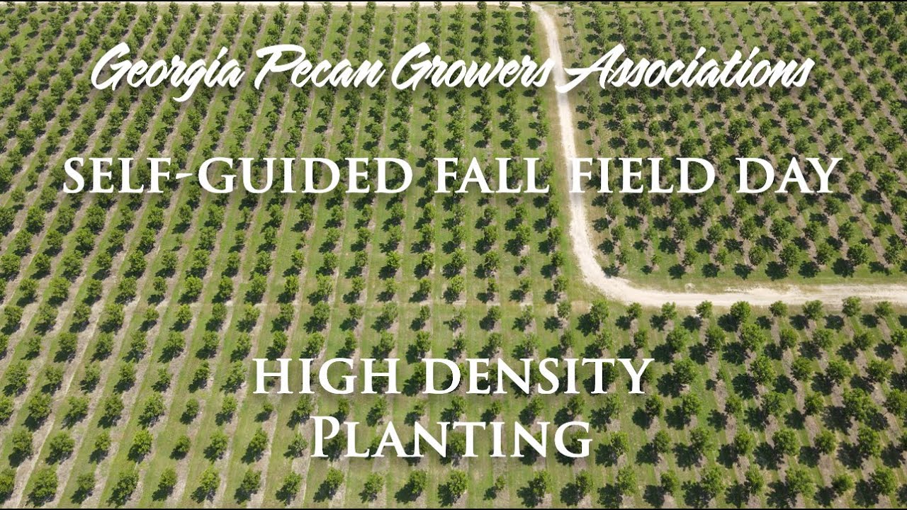 Fall Field Day 2021 - High Density Planting