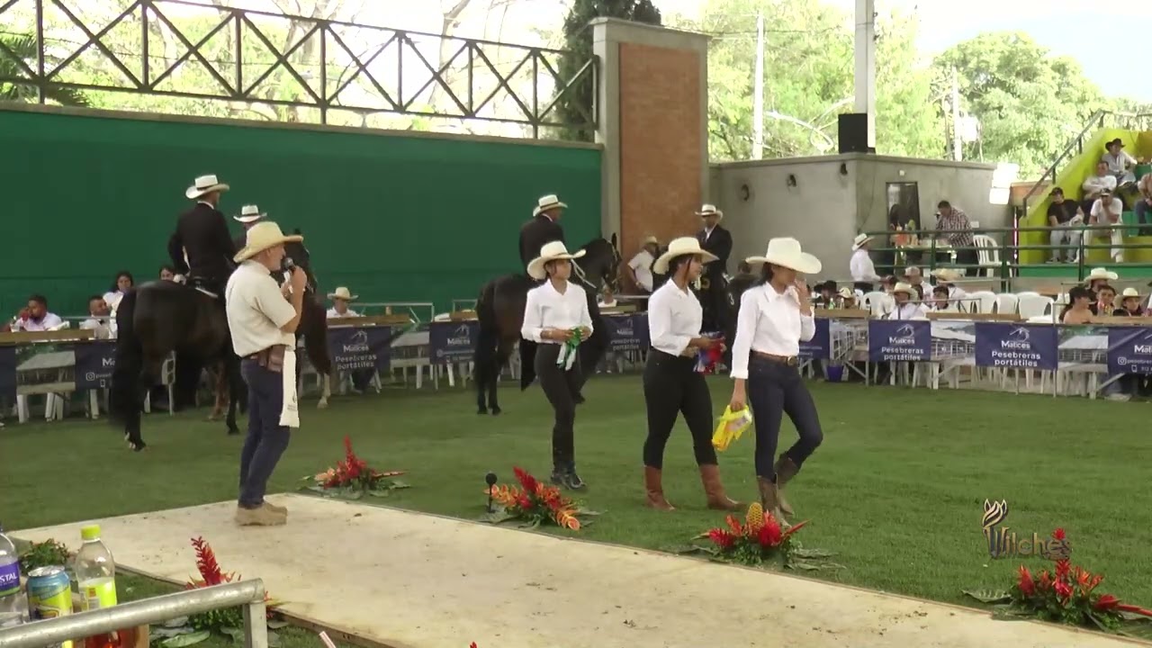 MARVEL DEL OLIMPO DE LA MESA, PRIMERA FINALISTA TROTE Y GALOPE FESTIVAL EQUINO LA PINTADA 2026
