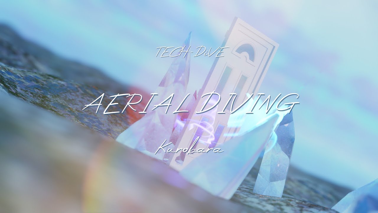 【BOF:NT】 AERIAL DIVING 【BGA】