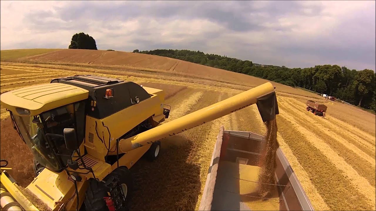 Wintergerste & Raps Dreschen mit New Holland TC5070 #2014#