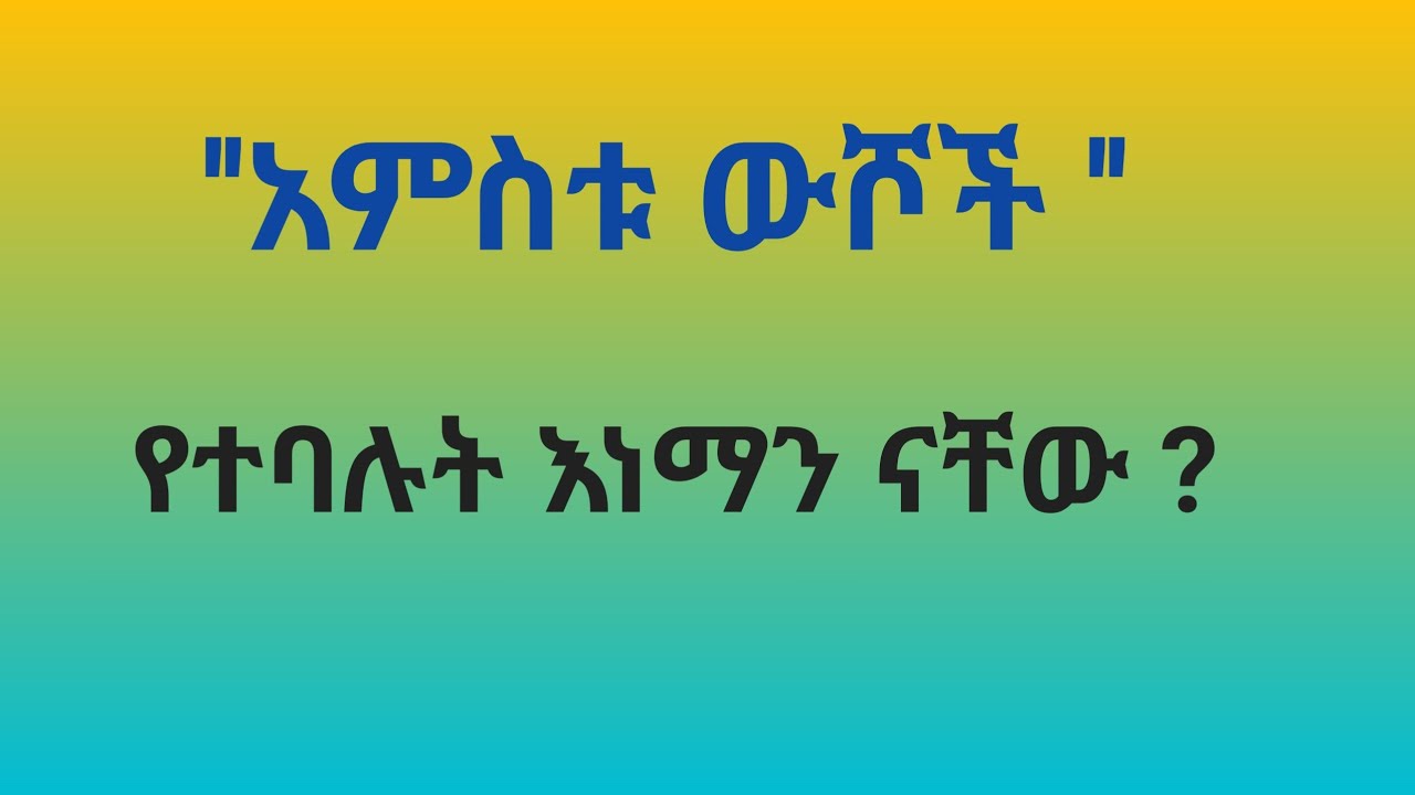 #የሚፈረድባቸው አምስቱ ውሾች #በመጋቤ ሐዲስ አባ ታዴዎስ  ውብለኔ 