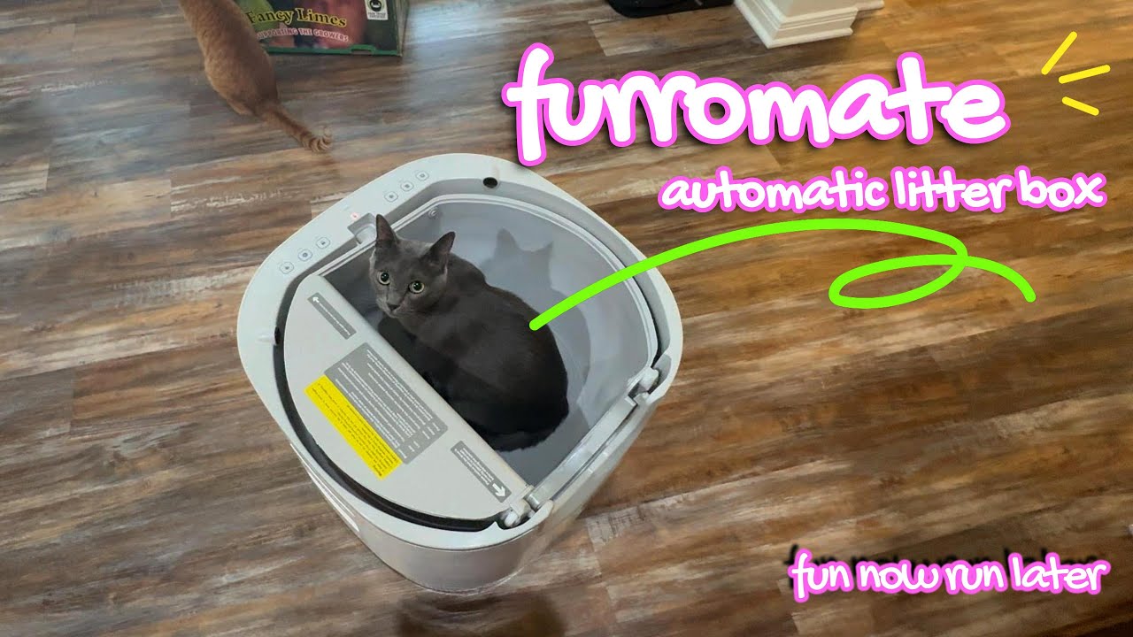 Полное обновление лотка: наш обзор и опыт использования Furoomate! 🐱💫