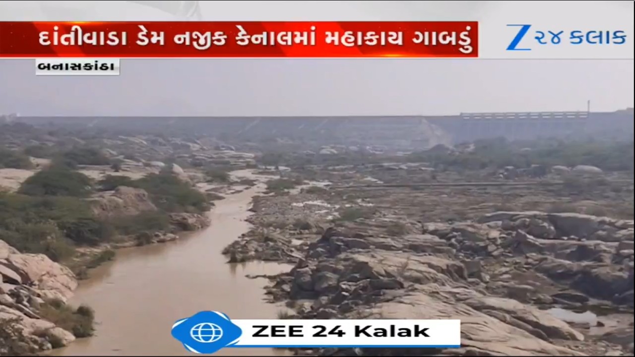 Banaskanthaના દાંતીવાડા ડેમ નજીક કેનાલમાં મહાકાય ગાબડું પડ્યું, નદી તરફ છોડવામાં આવ્યો પાણીનો પ્રવાહ