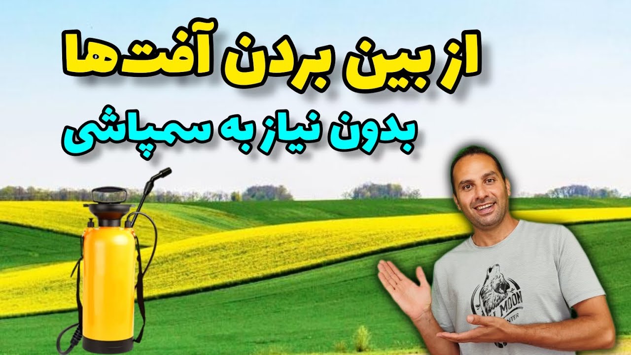 دو روش از بین بردن آفت‌ها که خودم استفاده میکنم و فوق‌العاده تاثیر داره