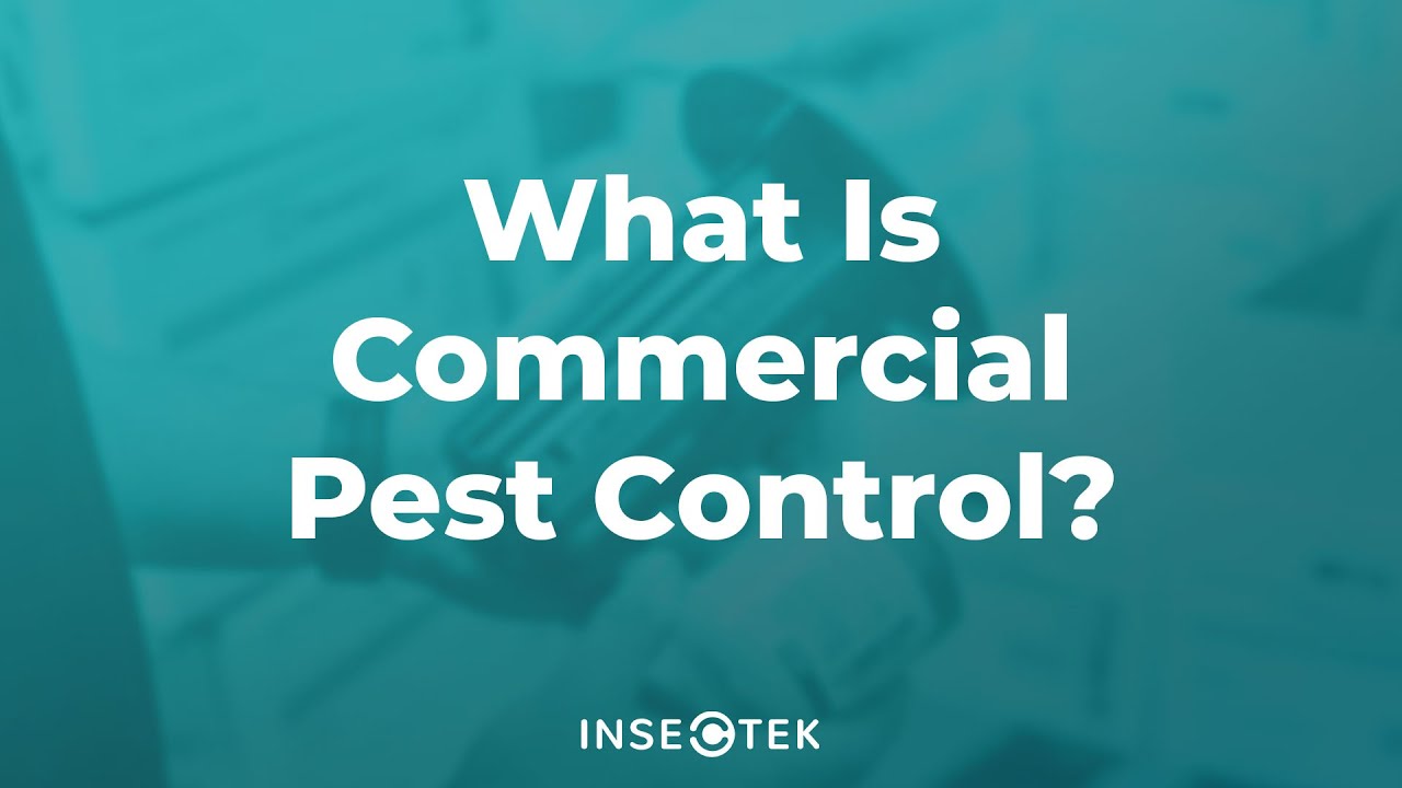 What Is Commercial Pest Control?