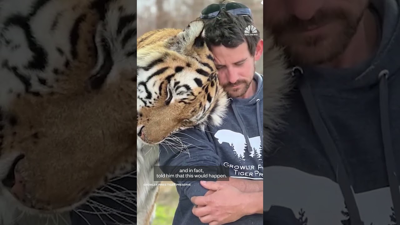 Joe Exotic reacts to Oklahoma tiger handler's death