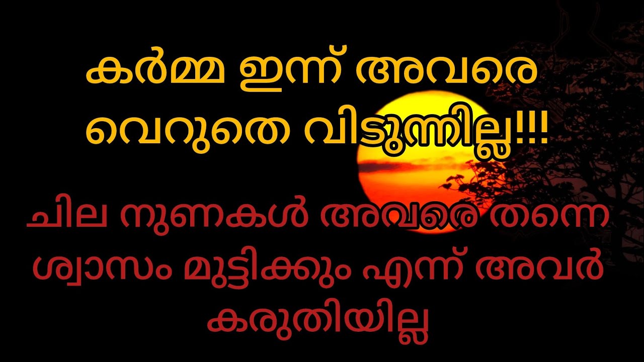 നിങ്ങളെ ദ്രോഹിക്കാൻ കൂടെ നിന്ന ഓരോരുത്തരും ഇന്ന് കർമ്മയുടെ പിടിയിൽ ആണ് #tarot 