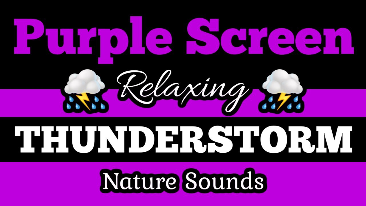 🟪PURPLE SCREEN ⛈️THUNDERSTORM 🌲Best Nature Sounds