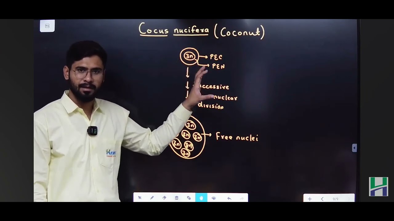 # Development of Endosperm in Coconut #