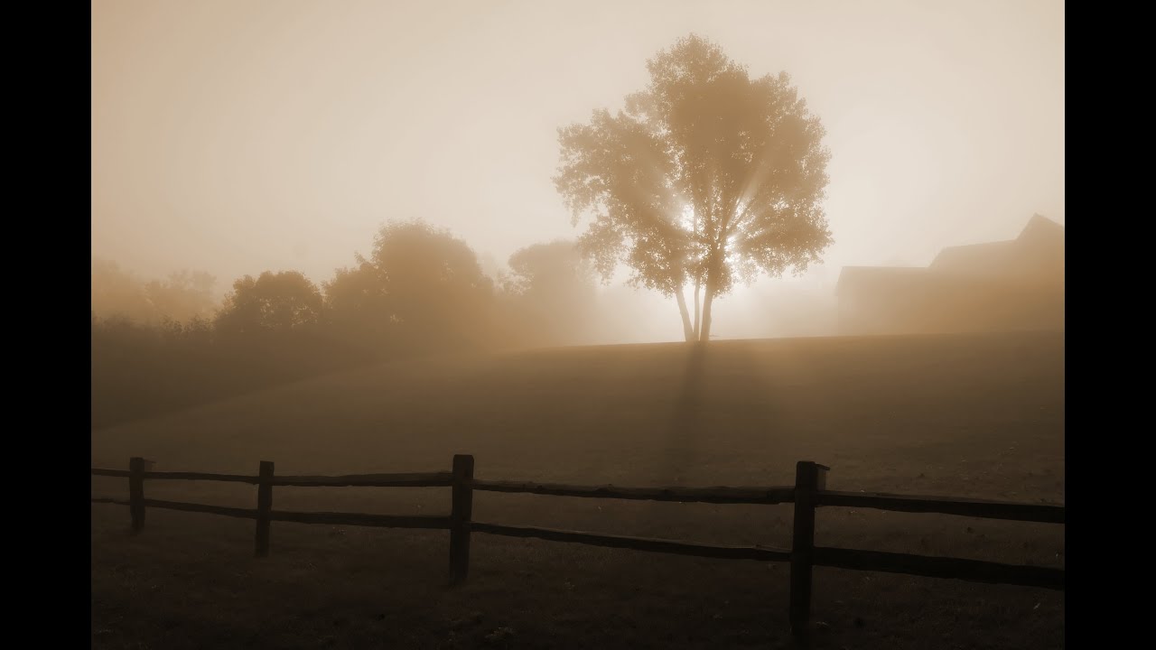 Aquascape - Sunrise in Fog [Visualization]