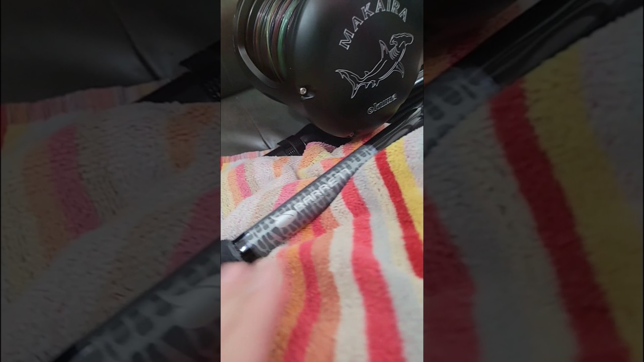 Best lbsf Rod & Reel 