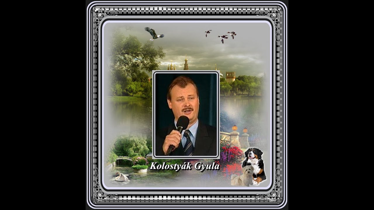 Kolosty&aacute;k Gyula : Mikor mentem a borospince fel&eacute;