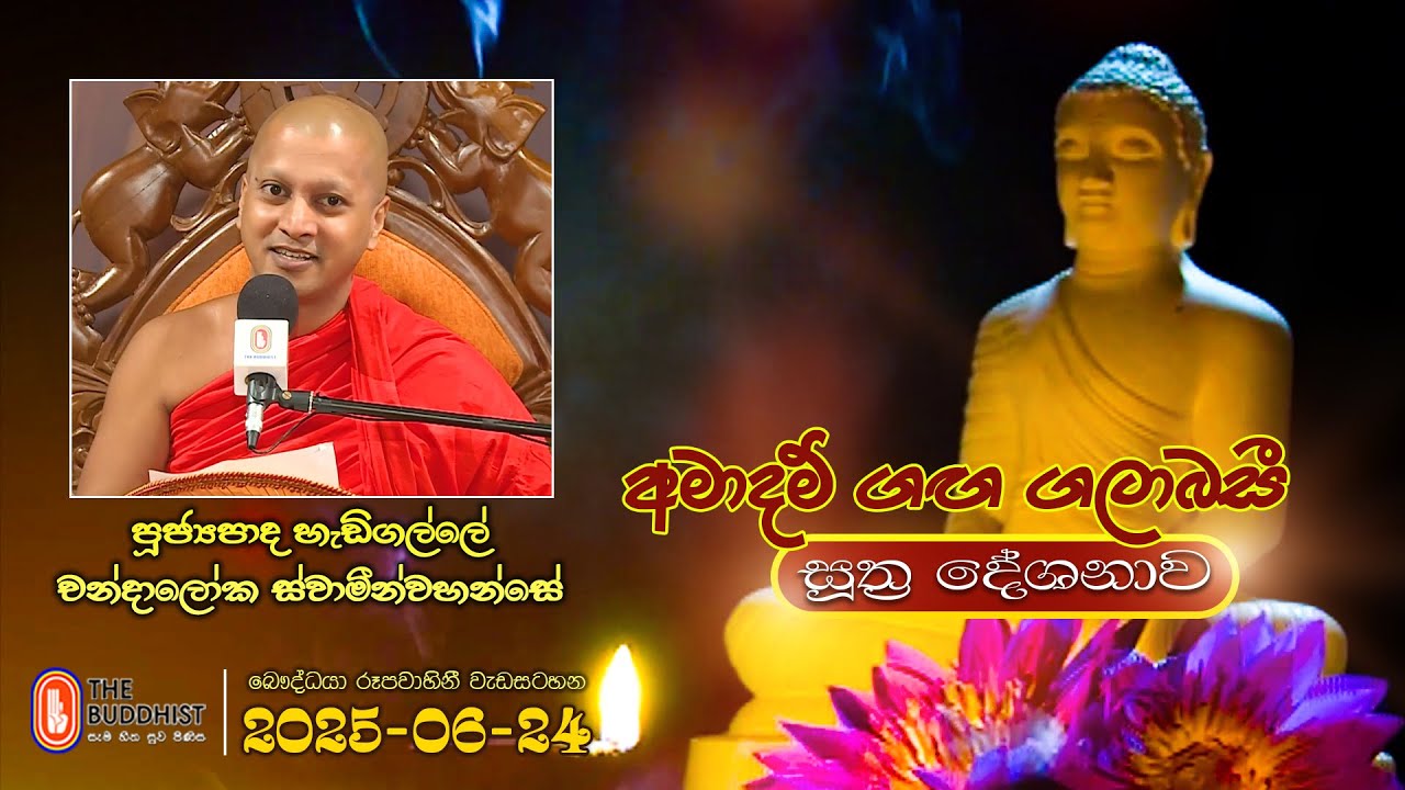 Ven Hedigalle Chandaloka Thero | 2025-06-24 | 04:00 PM (සූත්‍ර දේශනාව)